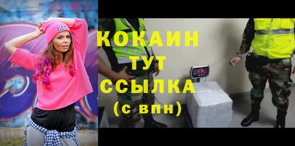 jwh Гатчина