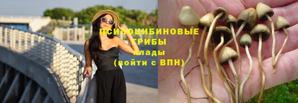 mdpv Нязепетровск