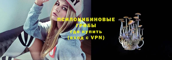 спиды Новокубанск