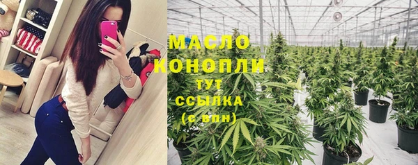 стаф Новодвинск