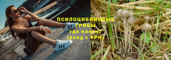 стаф Новодвинск