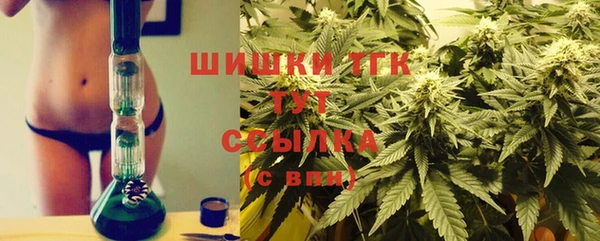 мет Няндома