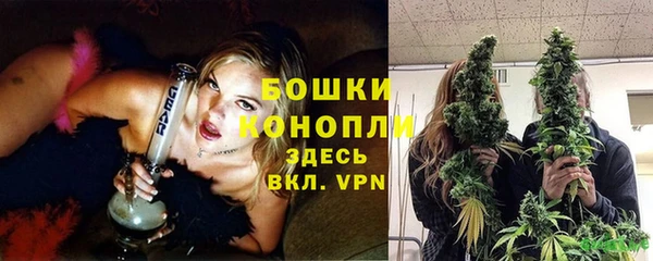 стаф Новодвинск