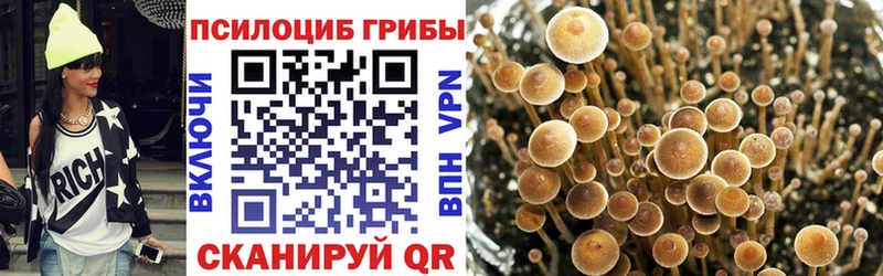 Галлюциногенные грибы GOLDEN TEACHER  гидра онион  Новомичуринск  где найти наркотики 